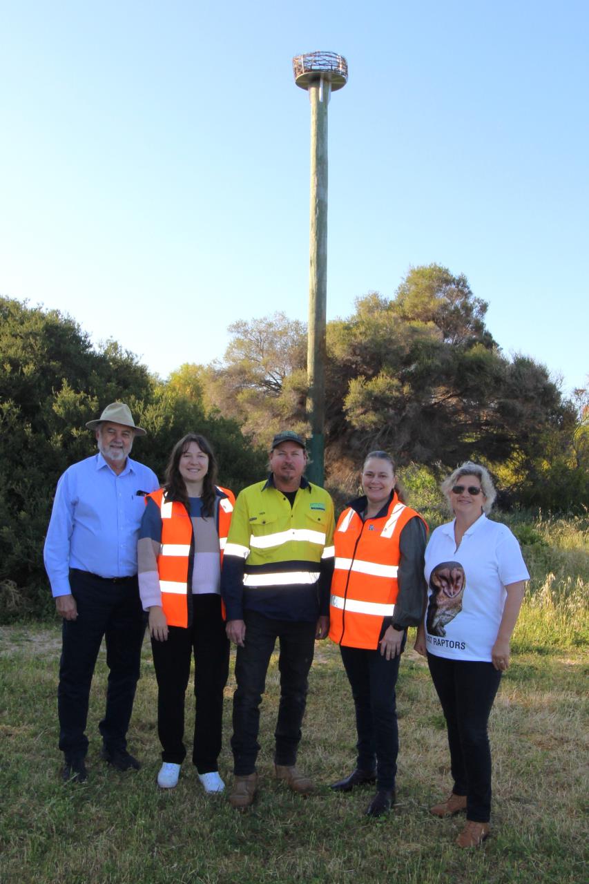 Mayor Jerry Clune (left) is joined by local contractor Troy Weir of Fab28, Janelle Ende of Just Raptors (right) and City Environmental Team members Shannon Holler and Meagan Thompson below the Osprey Nest.  Missing from the photo is Heather Beswick of Birdlife Midwest-Geraldton.