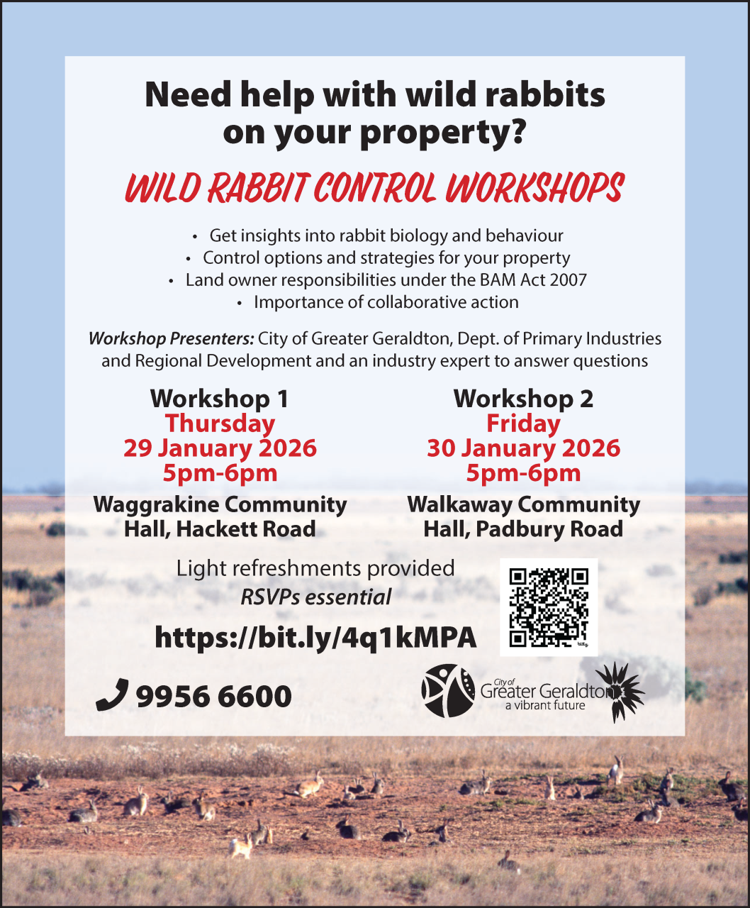 Workshop flyer