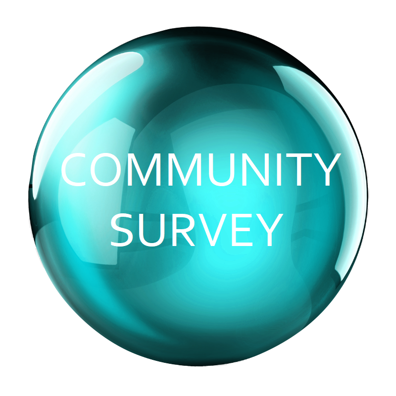 Online Survey