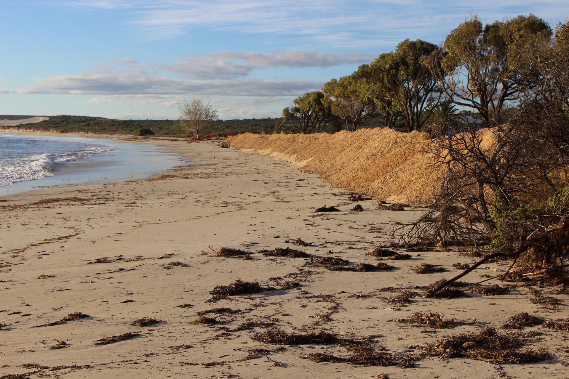 Whitehill Road sand noursihment