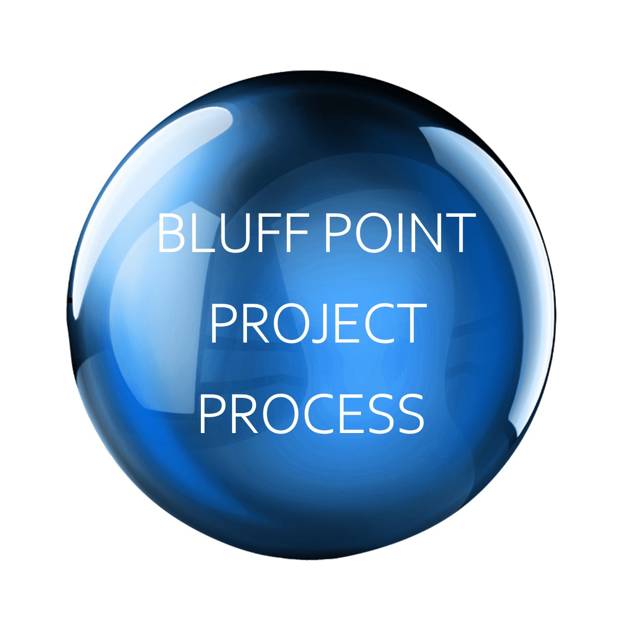 Bluff Point Project Process