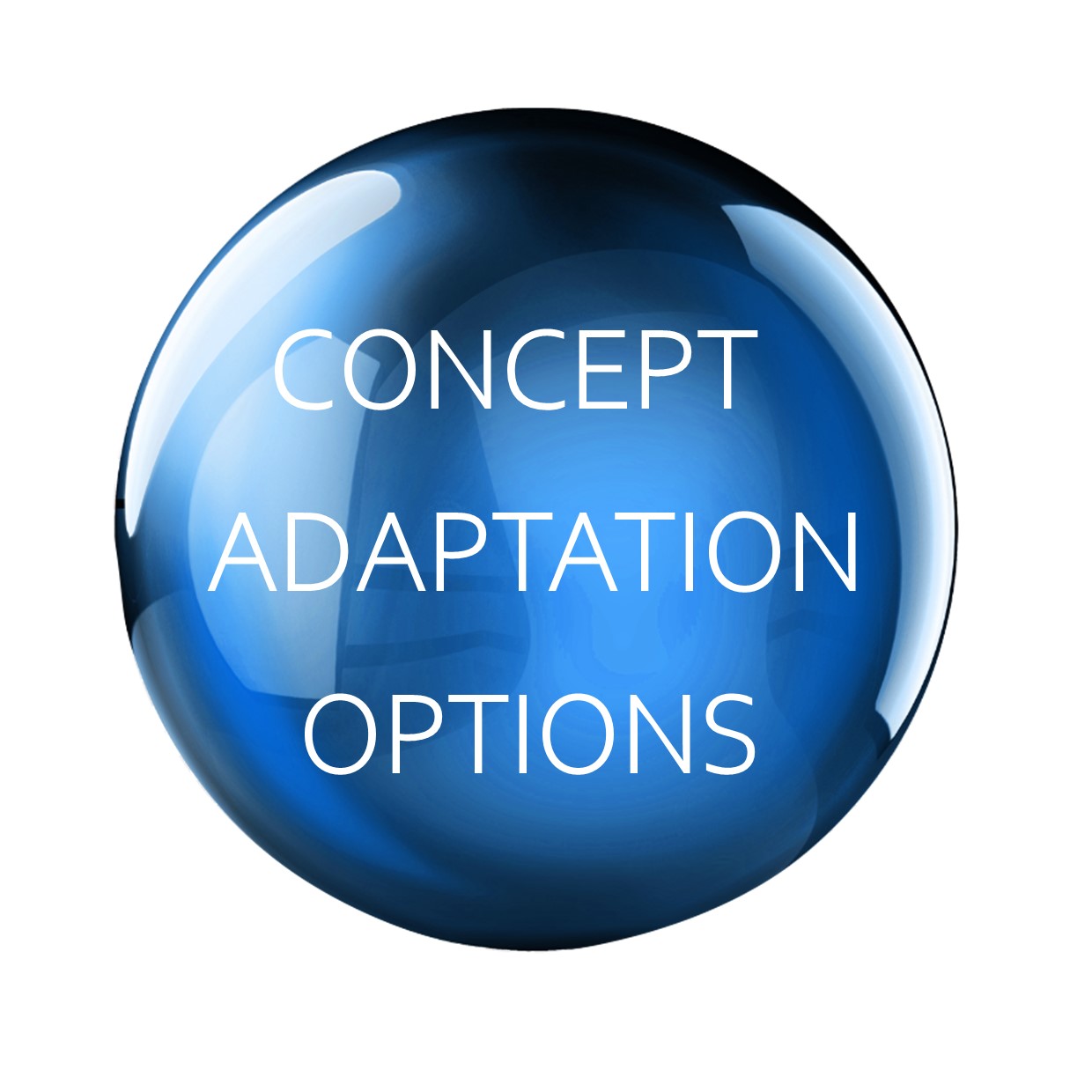 Concept Adaptation Options