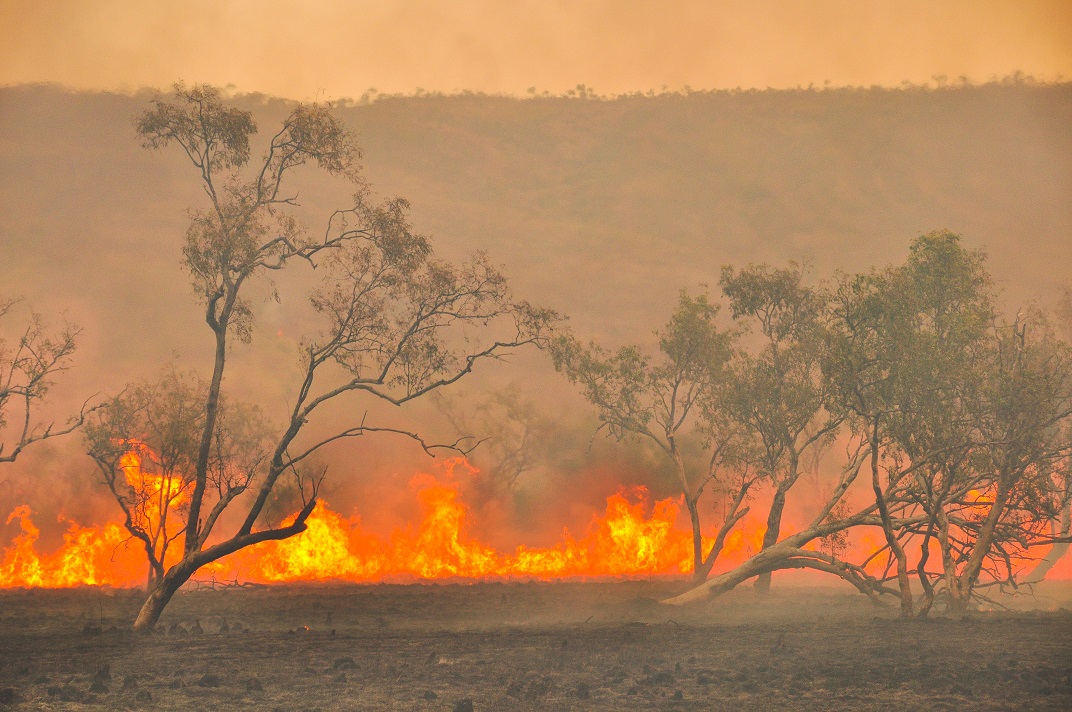 Get prepared for bushfire season