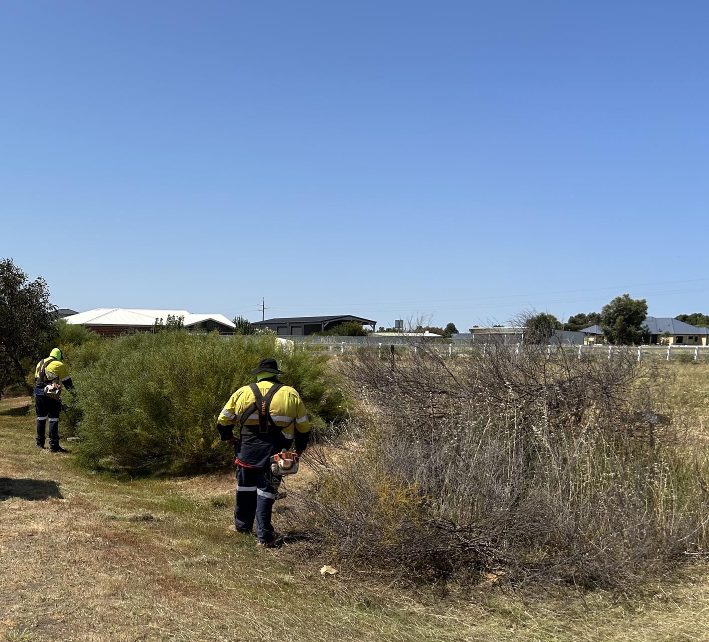 City’s verge mowing program pushes on